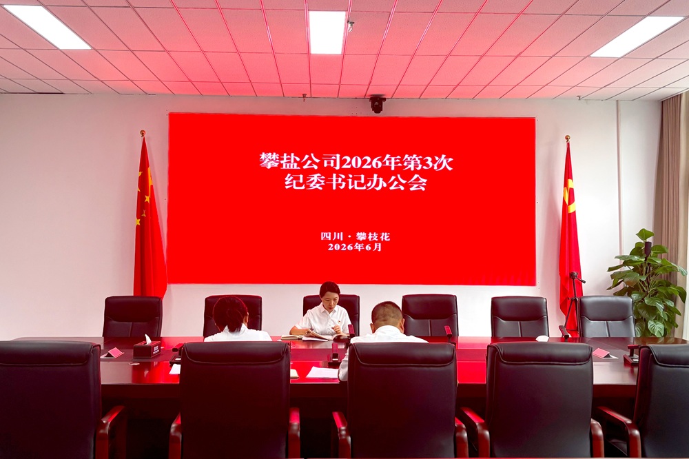 攀盐公司召开2026年第3次纪委书记办公会